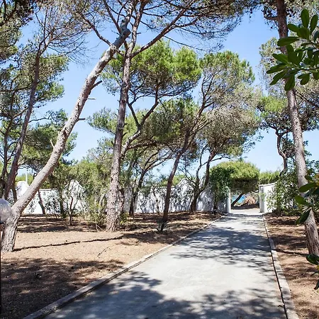 Villa Masseria *